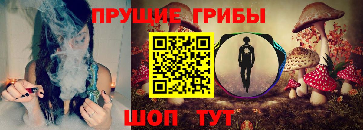 Псилоцибиновые грибы Magic Shrooms Черкесск