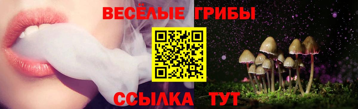 где купить наркоту  Галлюциногенные грибы прущие грибы  Галлюциногенные грибы Psilocybine cubensis  Вход с VPN  Черкесск 